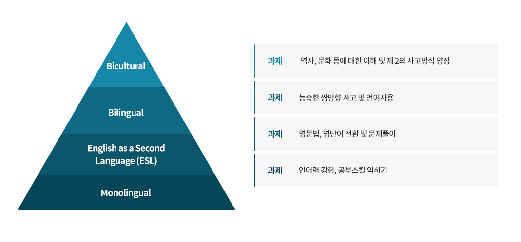 Monolingual to Bicultural M.T.B